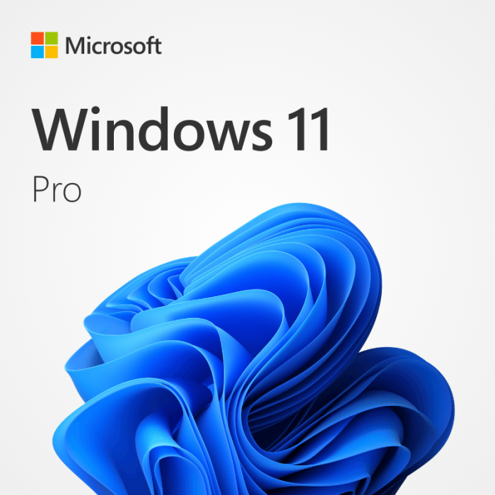 Windows 11 Pro คีย์แท้