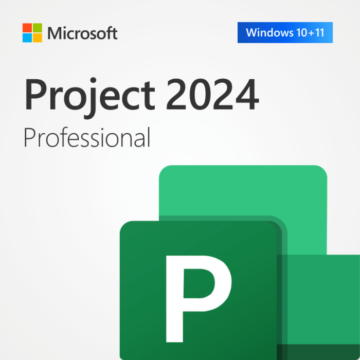 Project 2024 Pro ผูกบัญชี Microsoft